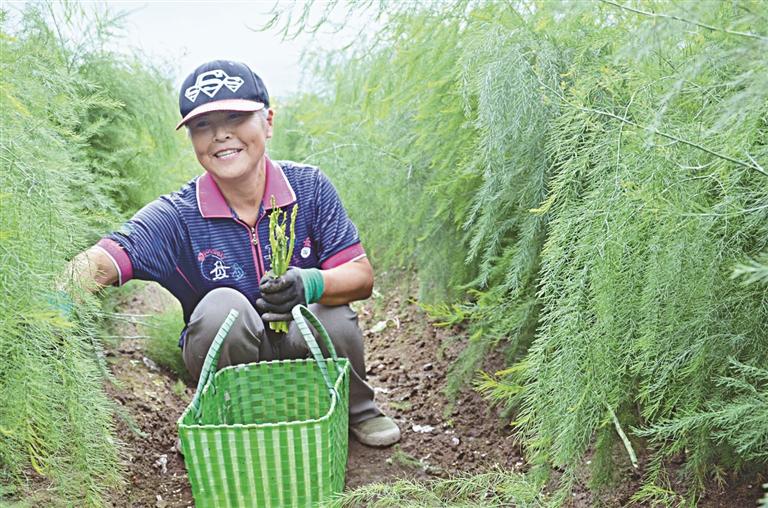 致富经小龙虾养殖技术_致富经小龙虾养殖视频播放_致富经小龙虾